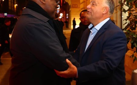 Coopération RDC-HONGRIE  : Budapest, favorable  pour  investir  en  RDC