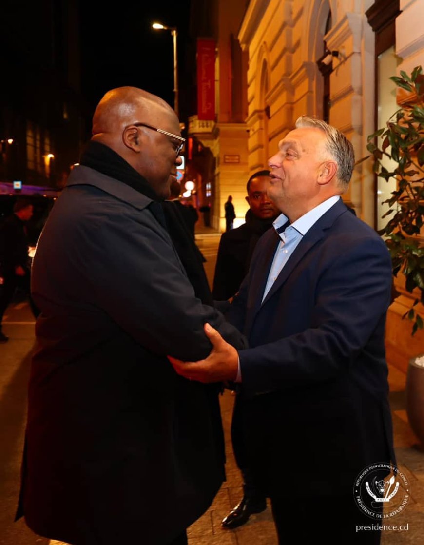 Coopération RDC-HONGRIE  : Budapest, favorable  pour  investir  en  RDC