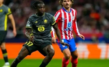 UEFA Champions League : Un léopard sort une masterclass face à l’Athletico Madrid !