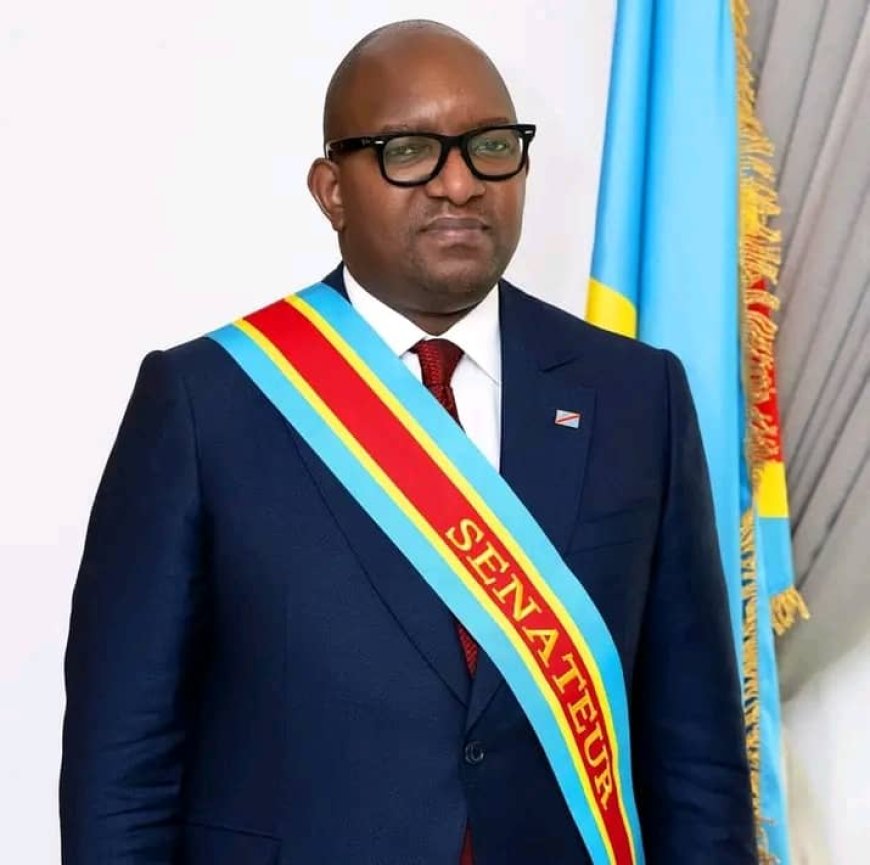 RDC : à son tour,  Sama Lukonde  dit «Oui» au changement de la constitution