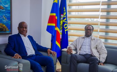 Fayulu et Sesanga s'allient contre le changement de la Constitution