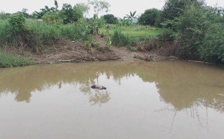 Kongo-Central : Un corps sans vie retrouvé dans une rivière à Boma