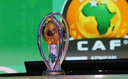 CHAN 2024 : la phase éliminatoire tire ses rideaux, les 14 nations qualifiées sont connues