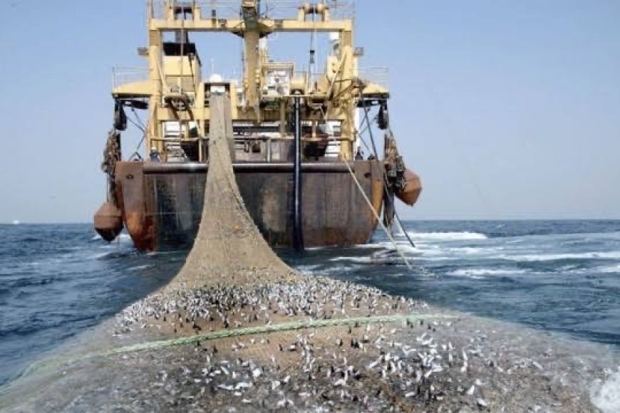 RDC: Felix Tshisekedi annonce l'arrivée de 8 bateaux de pêche ...