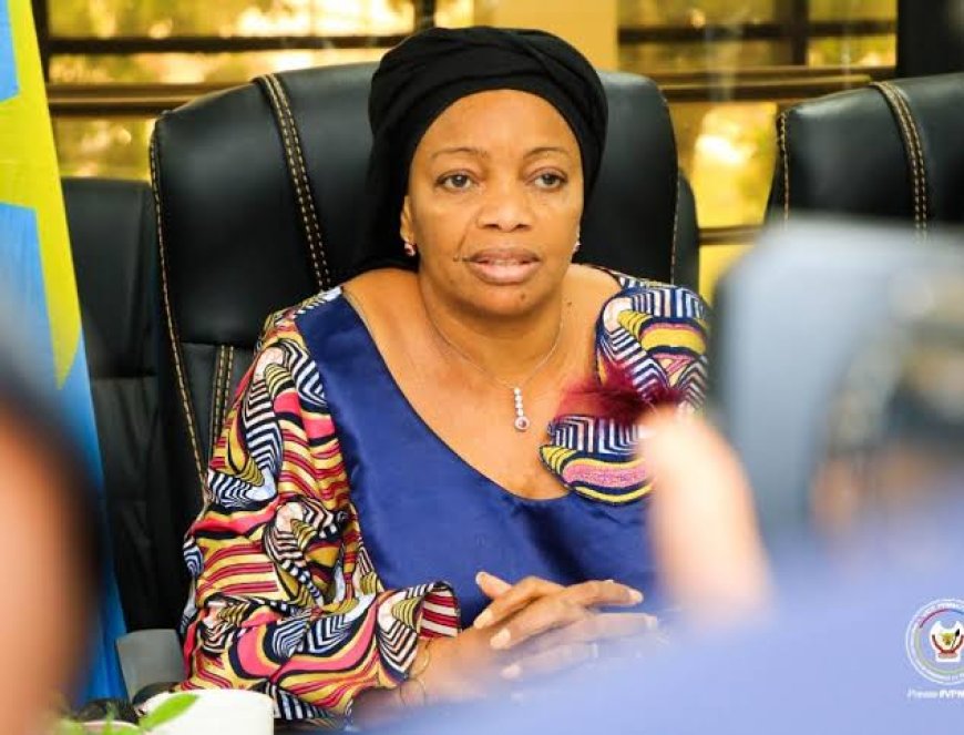 RDC: Ève  Bazaiba dénonce la manie de quelques ONG