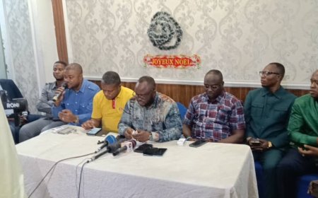 Propos de Fayulu sur les kasaïens : incitation à la haine tribale ?