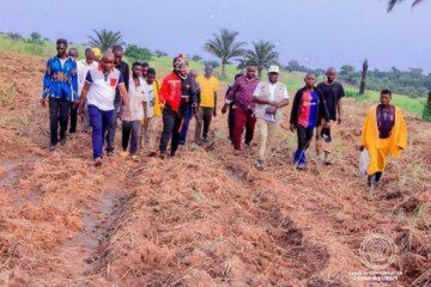 RDC : la Saplom-Sasu prévoit une production record de maïs pour la saison agricole B 2025