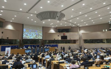 Agression rwandaise en RD-Congo : la RDC insiste sur des mesures fermes à l'UE contre le Rwanda