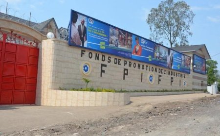 Goma : les installations du FPI pillées par les éléments de RDF/M23/AFC