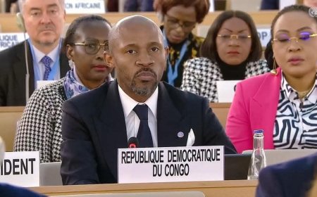 Agression rwandaise en RD Congo  : À Genève, la RDC appelle à l'instauration de la commission internationale d'enquête