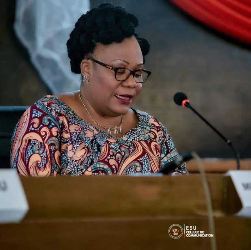 RDC| Mise en œuvre de l'éducation en situation d'urgence : le gouvernement accélère sur la création d’une plateforme numérique