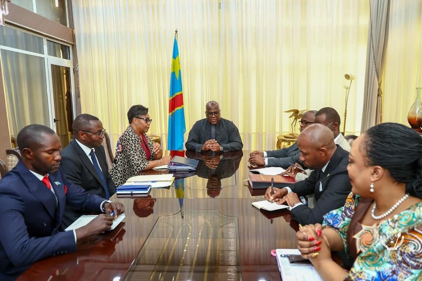 Session extraordinaire du Conseil des Droits de l’Homme : Felix Tshisekedi a accordé une audience à quelques membres du gouvernement