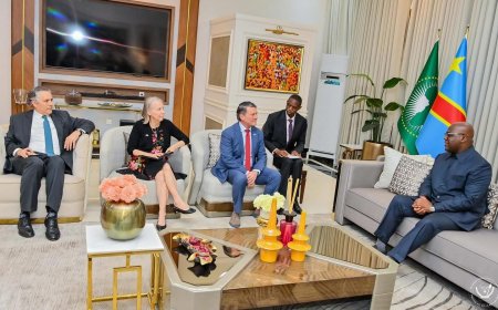 RDC: Felix Tshisekedi a reçu un émissaire de Trump