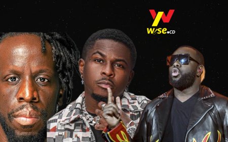 Refus  des concerts par les artistes congolais et continentaux en défaveur du Rwanda : une raclée pour le régime sanguinaire