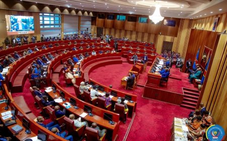 RDC: le Sénat vote pour la prorogation de l'État de siège dans l'Ituri et Nord-Kivu