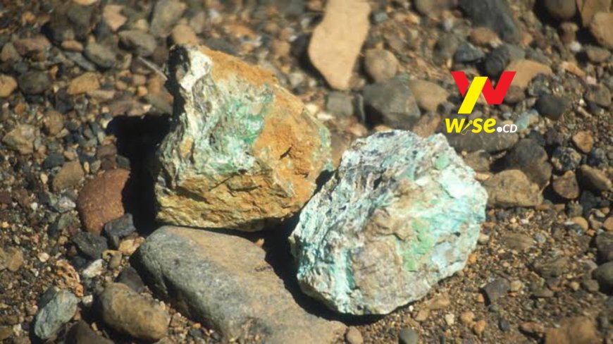 Accord sur les minerais RDC-USA: Félix Tshisekedi veut un partenariat gagnant-gagnant