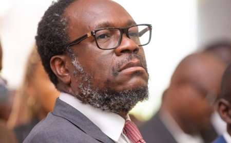 Catastrophes naturelles à Kinshasa :  Delly Sessanga culpabilise le pouvoir en place