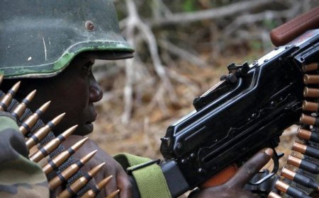 Sud-Kivu / Kalehe : plusieurs agglomérations passent sous contrôle des Wazalendo et FARDC après des violents affrontements contre la coalition M23/AFC
