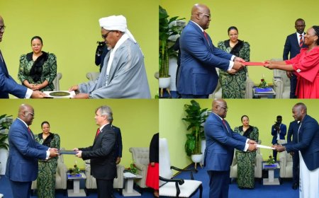 Le Président Tshisekedi a reçu les lettres de créance de quatre nouveaux ambassadeurs accrédités à Kinshasa