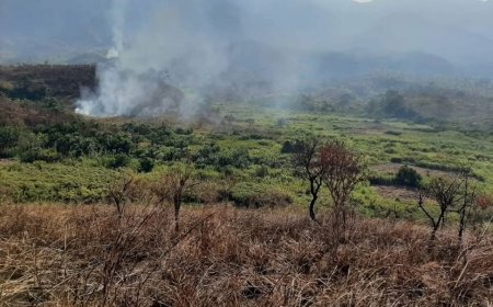 Sud-Kivu : les Wazalendo et les FARDC ont déclenché des attaques simultanées contre le M23 sur divers fronts