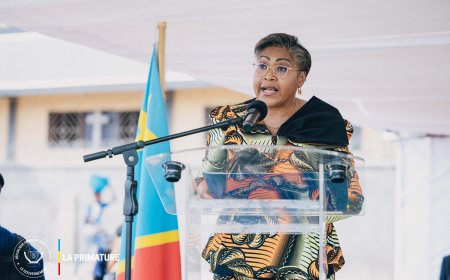 Recensement de la population en RDC : 40 ans après, le gouvernement lance les travaux cartographiques