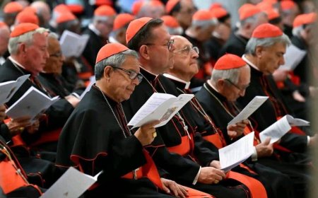 Vatican :  la date du vote pour le successeur du Pape François est connue