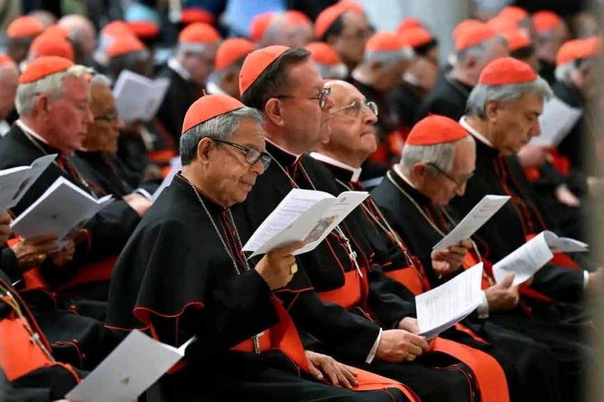 Vatican :  la date du vote pour le successeur du Pape François est connue