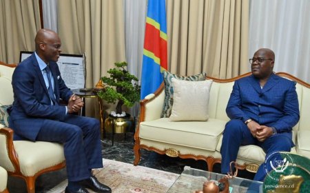 Nations unies : le Togo félicite la RDC pour son élection comme membre non permanent au conseil de sécurité de l’ONU