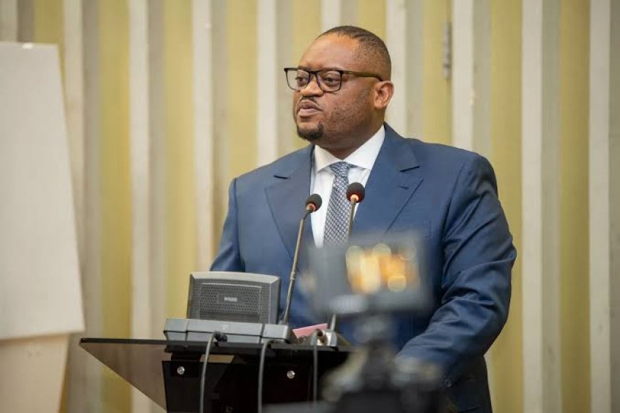 RDC : Doudou Fwamba séduit la banque mondiale sur le financement du projet de barrage d'Inga 3
