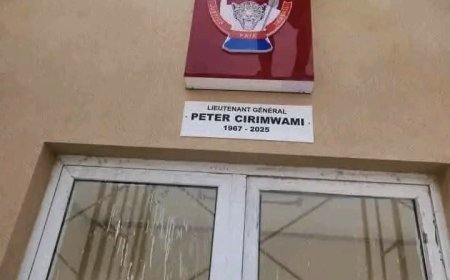 Inhumation de Peter Cirimwami Nkuba: des images d'un mausolée en construction dévoilées