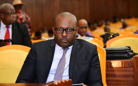 RDC : Jean. J Mamba visé par une plainte à Bruxelles pour diffamation du cursus académique de l'actuel ministre a.i de la Justice