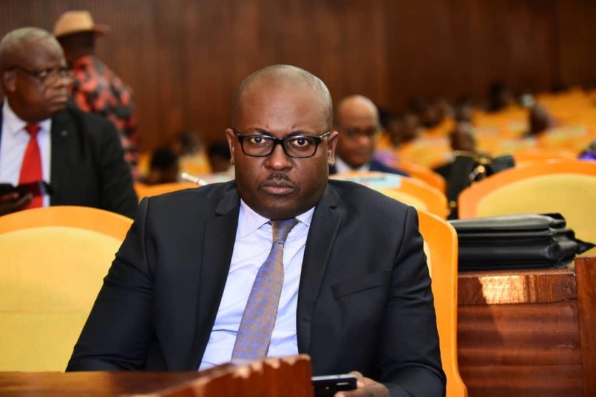RDC : Jean. J Mamba visé par une plainte à Bruxelles pour diffamation du cursus académique de l'actuel ministre a.i de la Justice