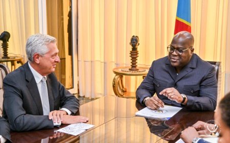 Est de la RDC : le HCR chez Félix Tshisekedi pour la mise en oeuvre des engagements de Washington et Doha en faveur des réfugiés