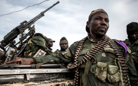 RDC-RWANDA : Neutraliser environs 1000 FDLR pour désengager à peu près 8000 RDF, alibi qui prend sa fin ? ‎