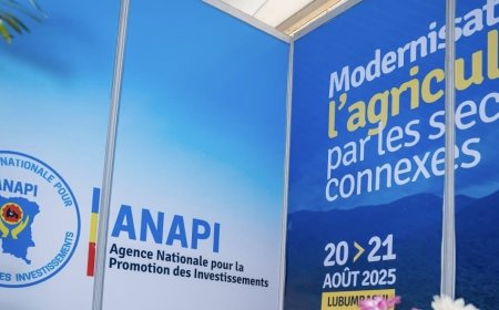 Investissements, emplois et réformes : l’impact concret d’une année d’actions à l’ANAPI