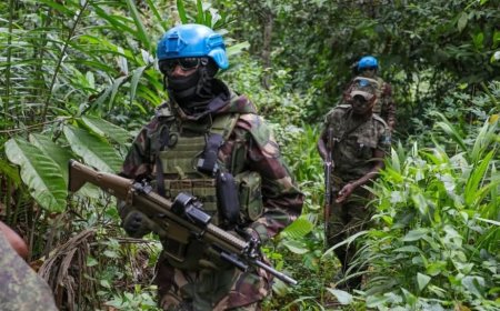 Nord-Kivu : la MONUSCO et les FARDC intensifient les patrouilles conjointes pour protéger les civils