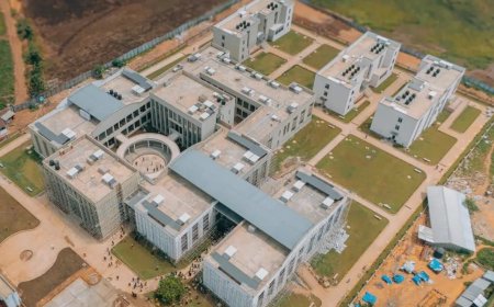 Ituri : quand les amphis remplacent le bruit des armes