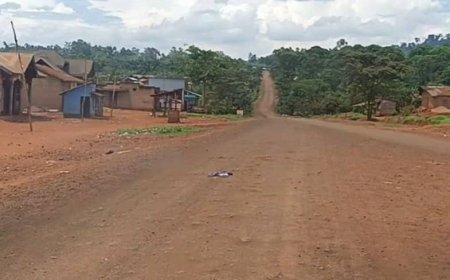 Ituri-Mambasa: la société civile salut l'interpellation de présumés criminels à Lwemba