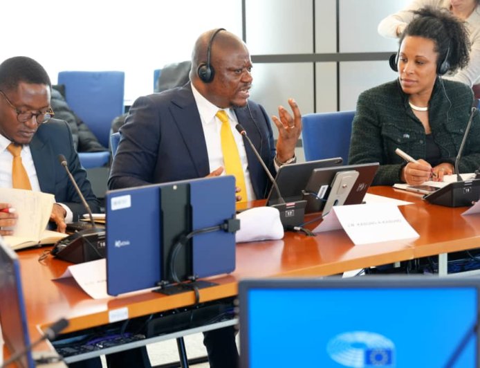 Est de la RDC : Jean-Marc Kabund appelle le Parlement européen à revoir la stratégie Global Gateway