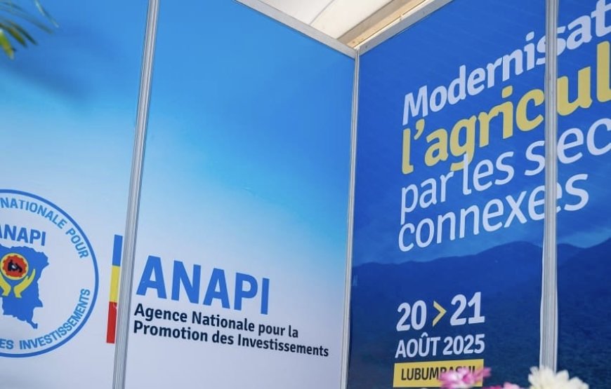 Investissements, emplois et réformes : l’impact concret d’une année d’actions à l’ANAPI