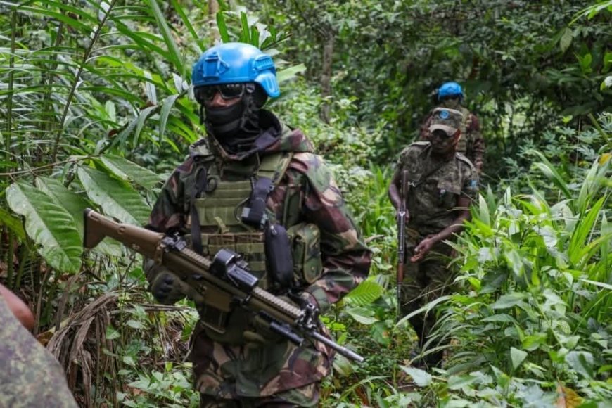 Nord-Kivu : la MONUSCO et les FARDC intensifient les patrouilles conjointes pour protéger les civils