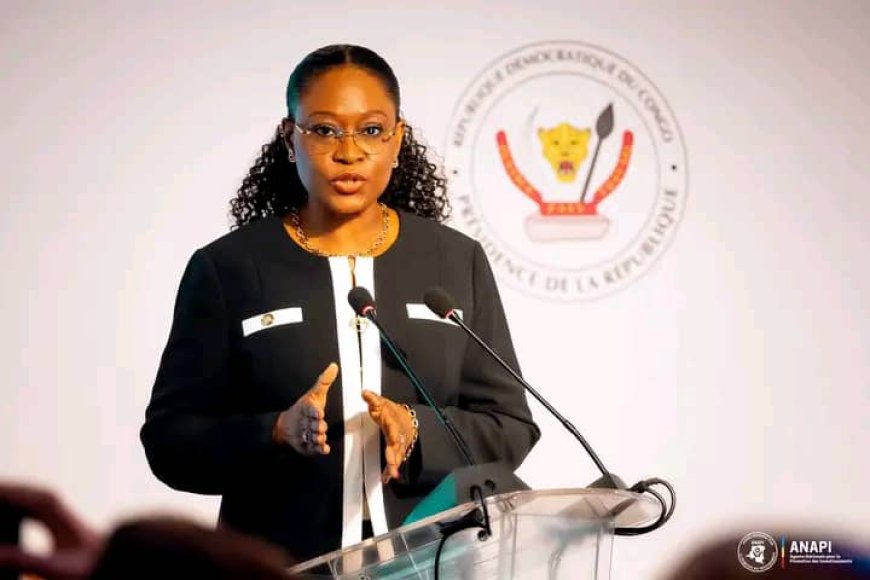 Mission économique et de l'investissement RDC-RSA : L'ANAPI veut pleinement jouer son rôle de guichet unique dans l'accompagnement des investissements