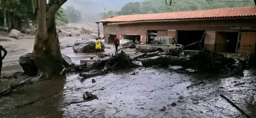 Beni : une pluie torrentielle emporte plus de 20 maisons à Ruwenzori