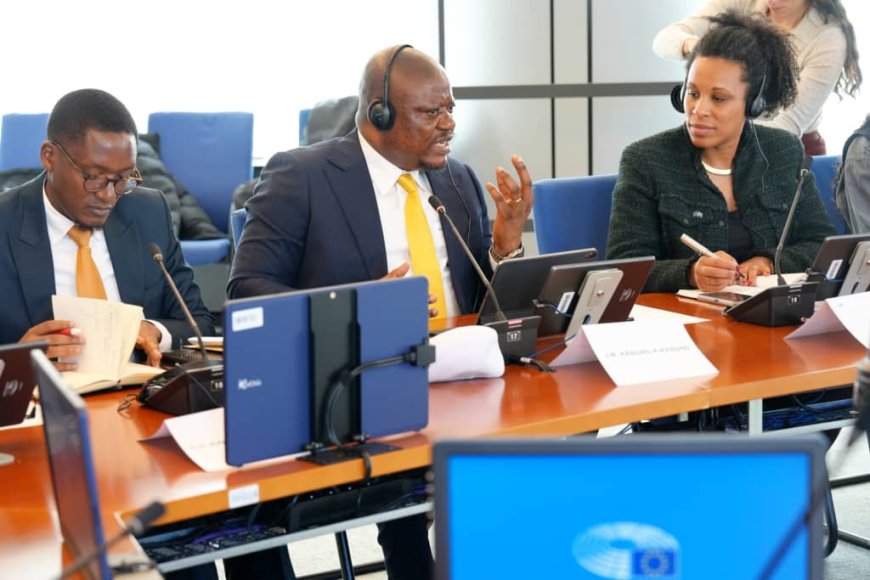 Est de la RDC : Jean-Marc Kabund appelle le Parlement européen à revoir la stratégie Global Gateway