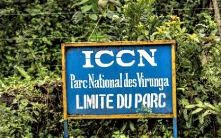 Nord-Kivu : 3 morts lors d'une attaque armée contre l'ICCN de Virunga