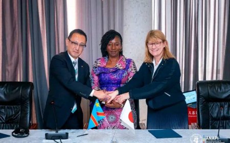 Forum d'affaires JAPON-RDC: l'ANAPI met en exergue les atouts géostratégiques et le potentiel économique de la RDC