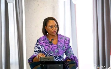 Forum d'affaires JAPON-RDC: l'ANAPI met en exergue les atouts géostratégiques et le potentiel économique de la RDC