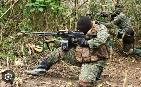 Ituri : l'étau se resserre autour des ADF dans le territoire de Mambasa