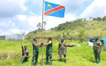 Ituri : l'armée congolaise appelle les déplacés de Bule à regagner leurs villages et dénonce la manipulation de population