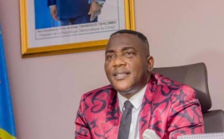 RDC : la création d’un Tribunal pénal économique et financier saluée, mais des garanties d’expertise et d’indépendance exigées (Godé Mpoyi)